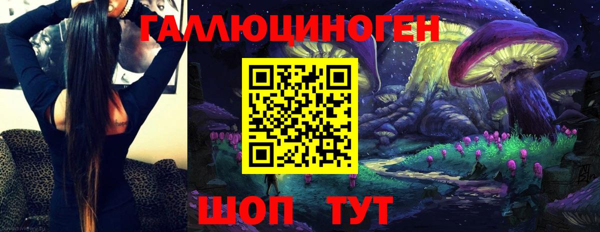 Псилоцибиновые грибы Cubensis Новозыбков